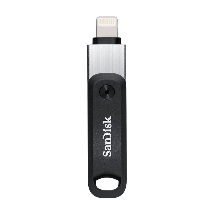 256 GB FLASH DRIVE (แฟลชไดร์ฟ) SANDISK IXPAND FLASH DRIVE GO (SDIX60N-256G-GAANE)