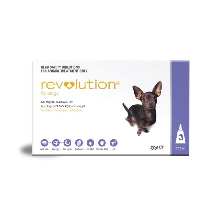 does revolution treat hookworms in dogs