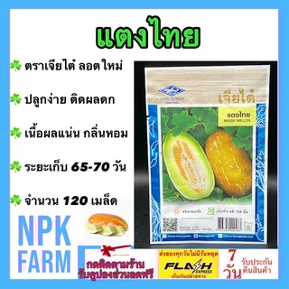 ผักซอง เจียไต๋ แตงไทย จำนวน 120 เมล็ด เมล็ดพันธุ์ ลอตใหม่ งอกดี ปลูกง่าย ติดผลดก เนื้อผลแน่น กลิ่นหอม ระยะเก็บ 65 วัน