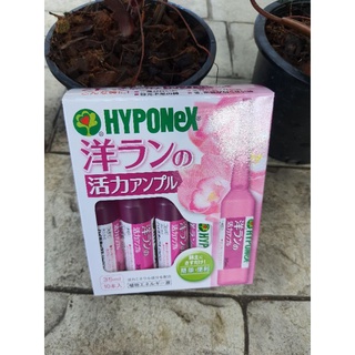 Hyponex ปุ๋ยปักจำนวน 10 หลอด