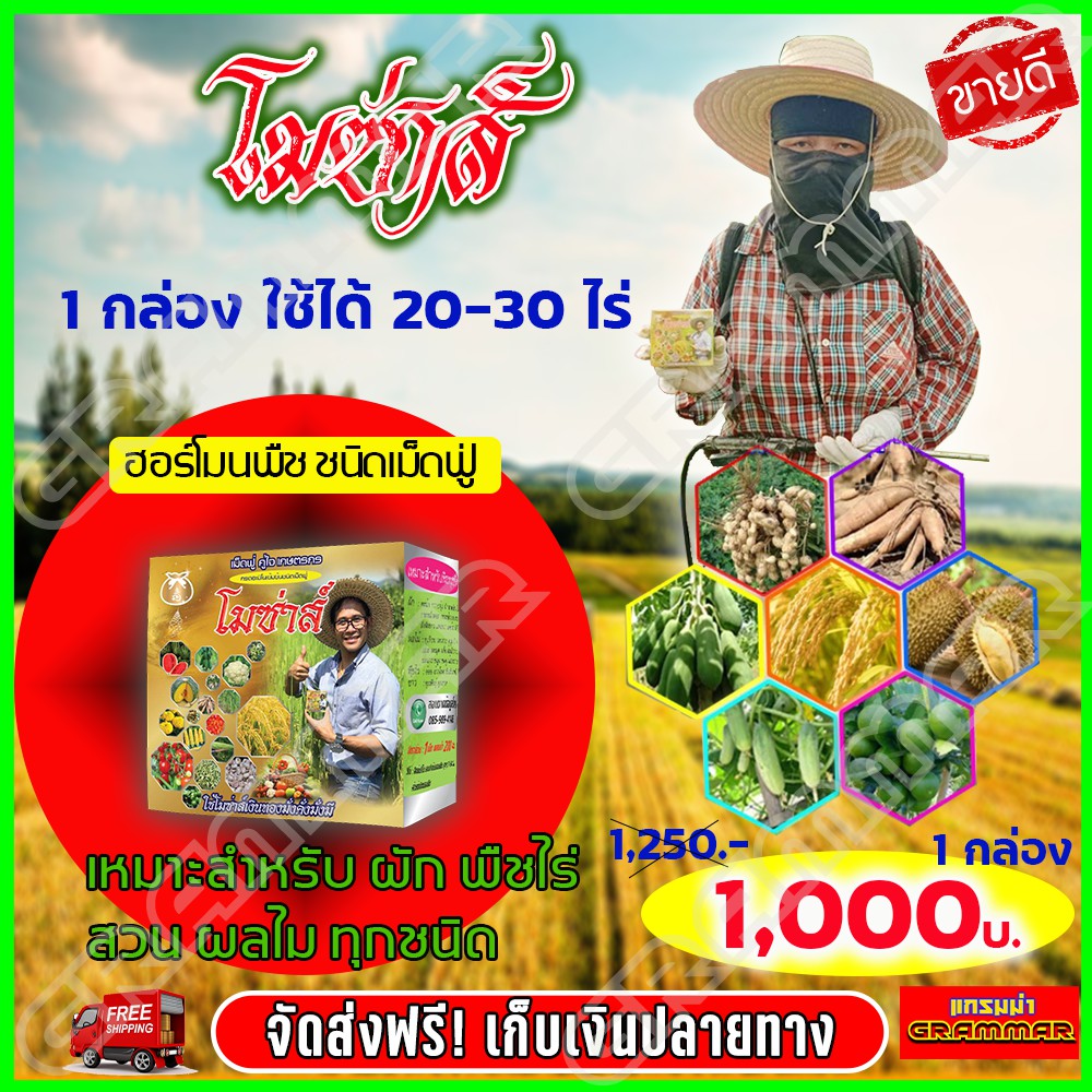 🔥🔥 ส่งฟรี 🔥🔥โมซ่าส์ MOZA ปุ๋ยโมซ่าส์ โมซ่า ปุ๋ยฮอร์โมน กรดอะมิโนสูง อาหารเสริมสำ
