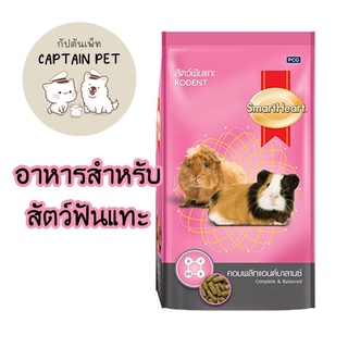 สมาร์ฮาร์ท Complete &amp; Balance สัตว์ฟันแทะ ขนาด1กิโลกรัม