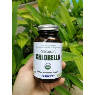 Oganice Chlorella 1 ขวด ออแกนิคคลอเรลล่า EXP 21 มิ.ย. 2569 (2026)