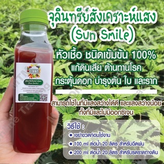 จุลินทรีย์สังเคราะห์แสง ‼️1 แถม 1‼️ขวดละ 300 ml ปุ๋ยน้ำหมักธรรมชาติ เร่งการเจริญเติบโตเพิ่มผลผลิต ไล่แมลง ปรุงดิน