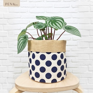 Pena Home : PLANT POT COVER กระถางต้นไม้ สีครีมจุดน้ำเงิน รุ่น 7PAS0011-7PAXL0011