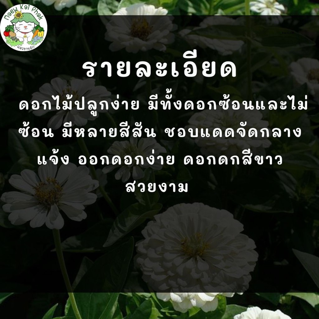 My Image 71