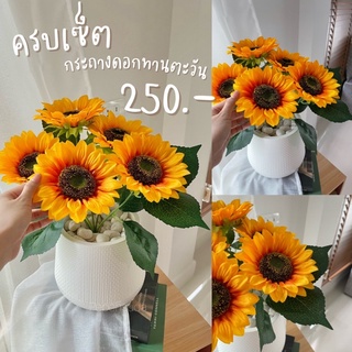 (สินค้าใหม่ แนะนำ**)กระถางดอกทานตะวันพร้อมกระถาง 5 ดอกใหญ่ สูง 45 ซม. มินิมอลตกแต่งบ้าน สินค้ามีพร้อมส่ง