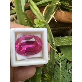 40 carats 24x18mm Pink Sapphire oval