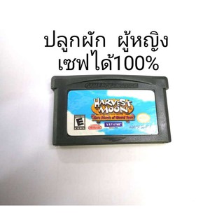 ตลับบอย harvest moon / ภาคผู้หญิง