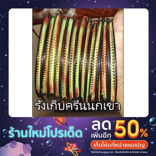 รังเก็บครืนนกเขา รังครืนนกเขา ใช้สำหรับเก็บครืนนกเขา