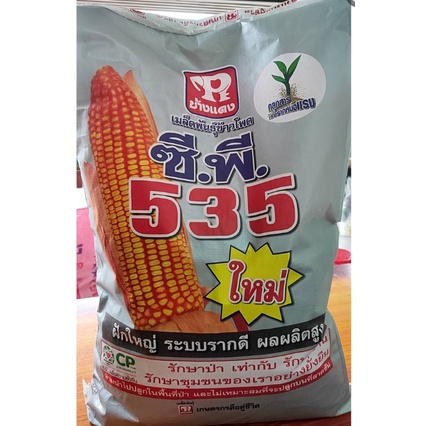 เมล็ดพันธุ์ ข้าวโพด ข้าวโพดเลี้ยงสัตว์ ตราซีพี535 *แบ่งขาย* บรรจุ 1 ก.ก ฝักใหญ๋ แกนเล็ก เมล็ดเรียงสว