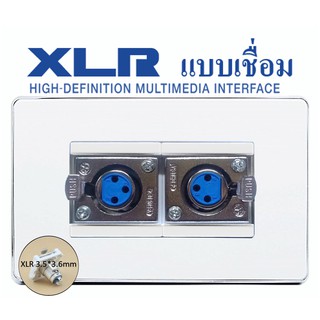 Wall Plate XLR (คู่)