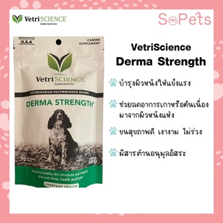 VetriSCIENCE  Vetri DERMA STRENGTH® บำรุงผิวหนังและขน  70 เม็ดเคี้ยว วิตามินบำรุงผิวหนัง วิตามินบำรุงขนสุนัข dog vitamin