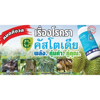คัสโตเดีย เรื่องเชื้อราต้อง คัสโตเดีย