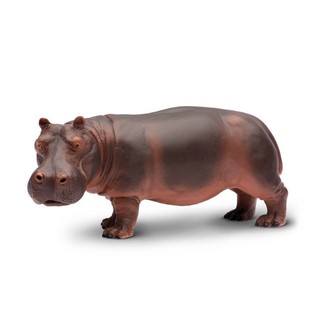 Safari Ltd. : SFR270429 โมเดลสัตว์ WS Jungle Hippopotamus Adult