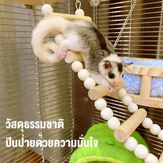 petsecret คอนลับเล็บ สำหรับนก คอนแบบติดกรง มีหลายสีหลายขนาดให้เลือก คอนไม้ คอนนก