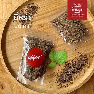 เมล็ดยี่หร่า cumin seed