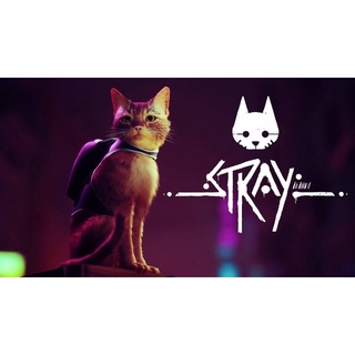 Stray Steam Offline mode