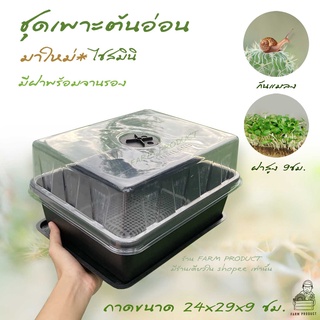 ชุดเพาะต้นอ่อน  ถาดแคตแคคตัส พร้อมฝาอบ และจานรองน้ำ