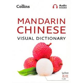 DKTODAY หนังสือ Collins Mandarin Chinese Visual Dictionary