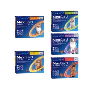 Nexgard Spectra Dog (ทุกขนาด) ผลิตภัณฑ์ป้องกันเห็บหมัด พยาธิหนอนหัวใจ