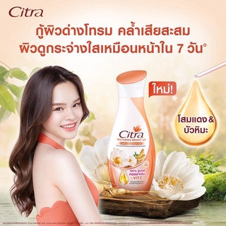 โลชั่น โสมแดงเกาหลี บัวหิมะ ซิตร้า CITRA RESTORING BRIGHT UV LOTION