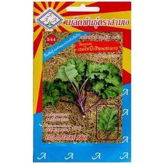 (เลือกชนิดได้) เมล็ดพันธุ์ คะน้าเคล Kale เคล ใบหยิก สการ์เล็ตเคล บลูเคล ไดโนเคล เคลไซบีเรียน เคลรัสเซียน เคลม่วง scarlet