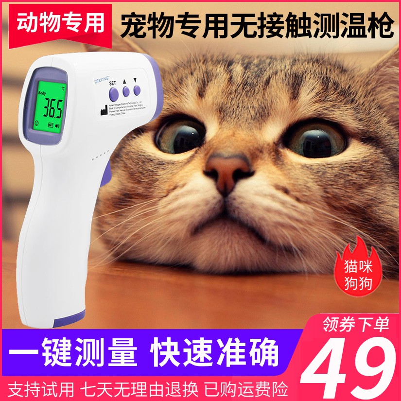 My Image 37