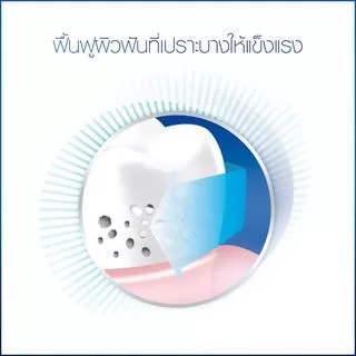 Oral-B ออรัลบี ยาสีฟัน ป้องกันฟันผ 160 กรัม Gum and Enamel Care Toothpaste 160 g