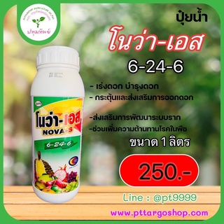 โนว่า -เอส (NOVA-S)6-24-6 ขนาด1ลิตร เป็นปุ๋ยเหลวเข้มข้นสูงช่วยบำรุงดอก กระตุ้นและส่งเสริมการออกดอก