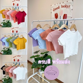 พร้อมส่ง ครอป แขนสั้น เสื้อยืด งานไอจีสาวห้ามพลาด ยืดครอป สีน่ารัก ปังๆปุริเย่💜