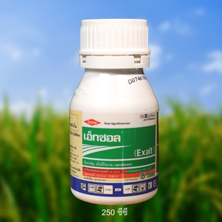 🔹🔹 เอ็กซอล  สไปนีโทแรม (Spinetoram) 12% SC ออกฤทธิ์กำจัดหนอนและเพลี้ยไฟ เฉียบพลัน ขนาด 250 ซีซี