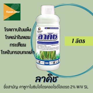 ลาคิช (คาซูกาไมซินไฮโดรคลอร์ไรด์ไฮเดรต) 1000ml. ป้องกันเชื้อแบคทีเรียที่ก่อให้เกิดโรคต่างๆ เช่น ใบแห้งกรอบ ขอบใบแห้ง