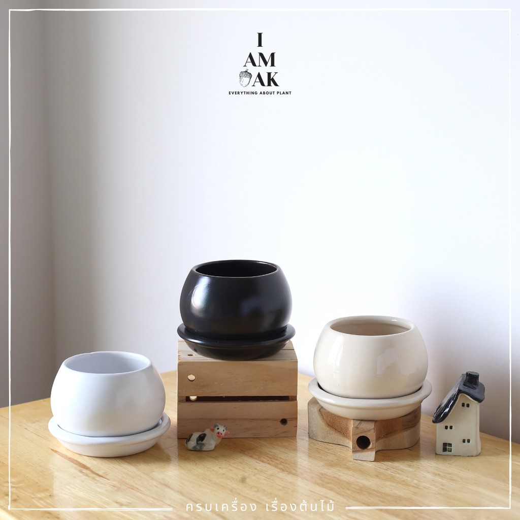 กระถางเซรามิกทรงกลม ขนาด 3 นิ้ว ปากกว้าง พร้อมจานรอง [BY ปากกว้าง]