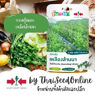 GGEW กวางตุ้งเหลืองล้านนา 5000เมล็ด ตราศรแดง เมล็ดพันธุ์พระราชทาน จันกะผัก Pak Choy