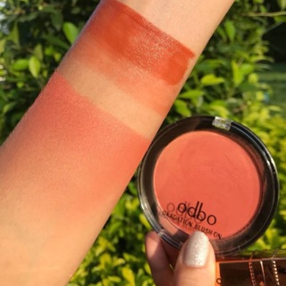 เซ็ตแต่งหน้าโทนพีช บลัชออนไล่สีodbo +ลิปแท่งทองnovo