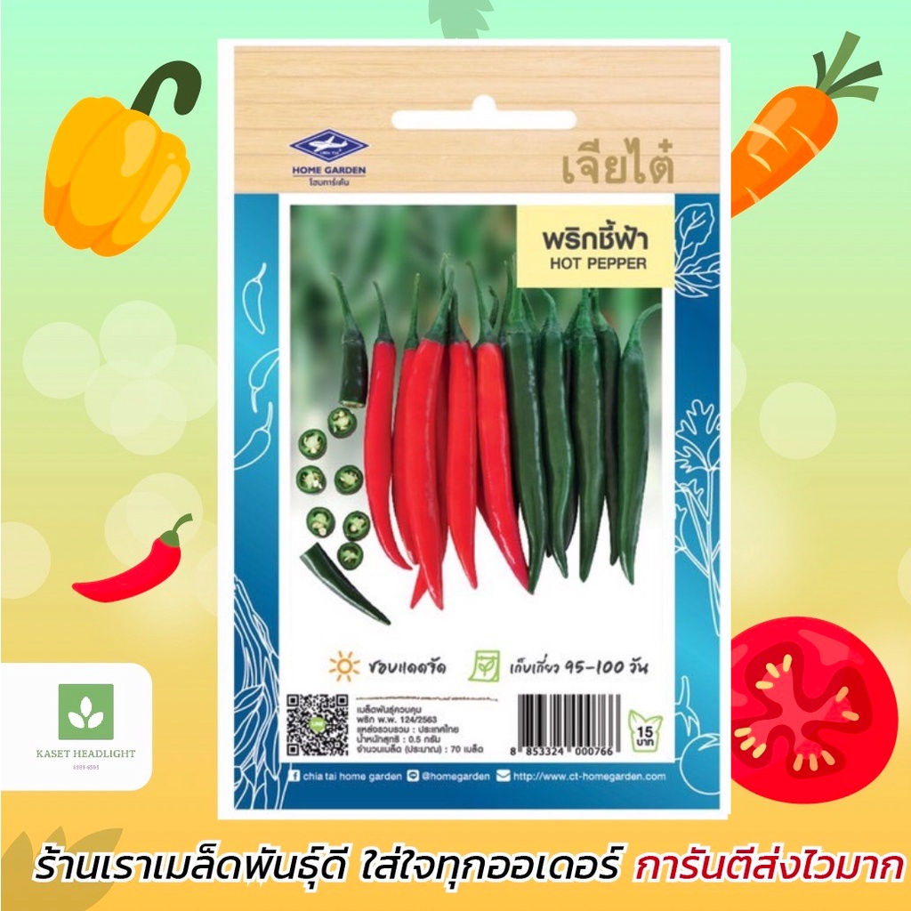 เมล็ดพันธ์ พริกชี้ฟ้า เจียไต๋
