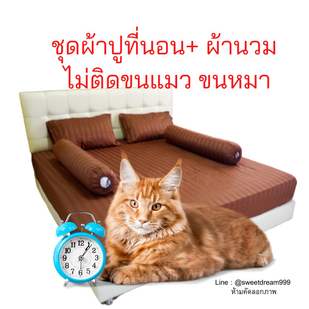 My Image 39
