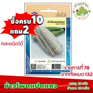 (ซื้อ10แถม2) เมล็ดพันธุ์ ข้าวโพด แปดแถว Waxy corn ประมาณ 85เมล็ด เจียไต๋ เมล็ดพันธุ์พืช เมล็ดพันธุ์ผัก เมล็ดผัก เม็ดผัก