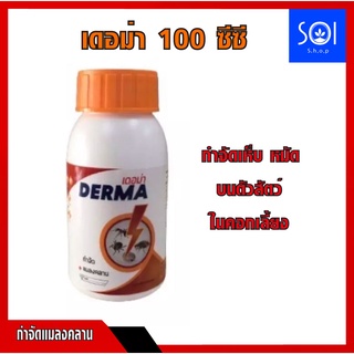 เดอม่า DERMA กำจัด เห็บ หมัด ไร เลือด มด และแมลงรำคาญต่างๆบนตัวสัตว์และบริเวณที่เลี้ยงสัตว์ ไม่เป็นอันตรายต่อคนและสัตว์