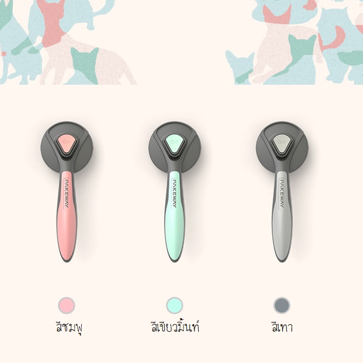 รูปภาพ 9