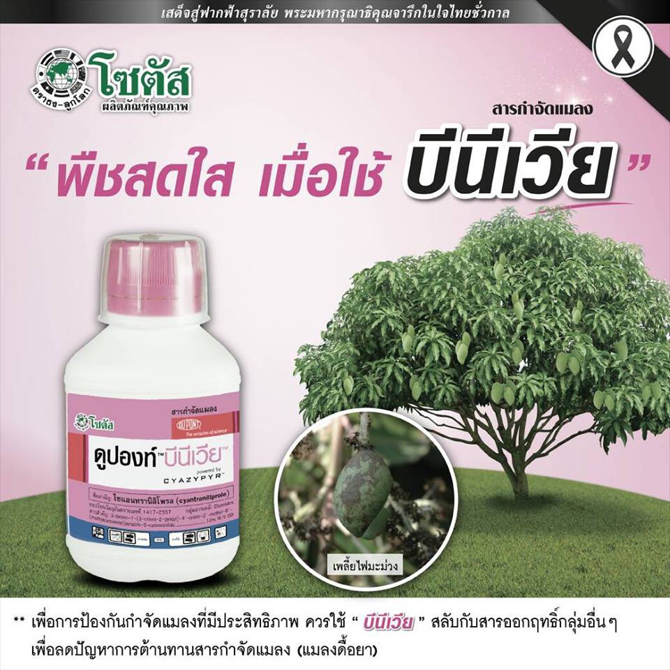 บีนีเวีย ไซแอนทรานิลิโพรล (cyantraniliprole) สารป้องกันกำจัดแมลง ได้หลายชนิดทั้ง แมลงปากดูด และปากกัด เพลี้ยไฟ หนอน ราคา ถูกที่สุด ดีลบีเคเค แกลเลอรีภาพที่ 2