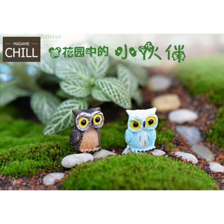 [MC854] ตุ๊กตุ่นจิ๋ว ฮ. นกฮูก ตาโต 🦉 (1 ตัว ราคา 10 บาท)