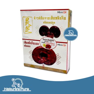 แม็กซ์ไลฟ์ สารสกัดเห็ดหลินจือ MaxxLife Linzhi Ganoderma Lacidum 30 แคปซูล (แถมฟรี! ดอกหลินจือแดง)