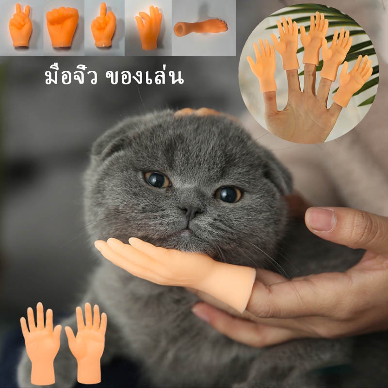 ของเล่นแมว มือลูบหัวแมว มือจิ๋ว มือเกาแมว ญี่ปุ่น ของเล่นแมวเคลิ้ม
