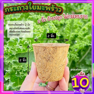 กระถางใยมะพร้าว ( 2 นิ้ว แพ็ค 10 ใบ ) กระถางต้นไม้ กระถางแคคตัส ระบายอากาศได้ดี รากเดินดี กระถางลดโลกร้อน ย่อยสลายได้ตาม