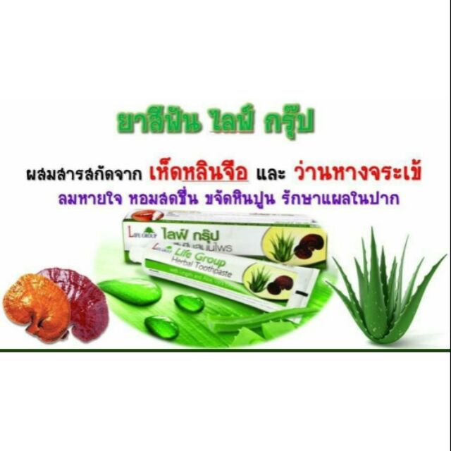 ยาสีฟันสมุนไพรไลฟ์​กรุ๊ป​ LIFE GROUP HERBAL TOOTHPASTE