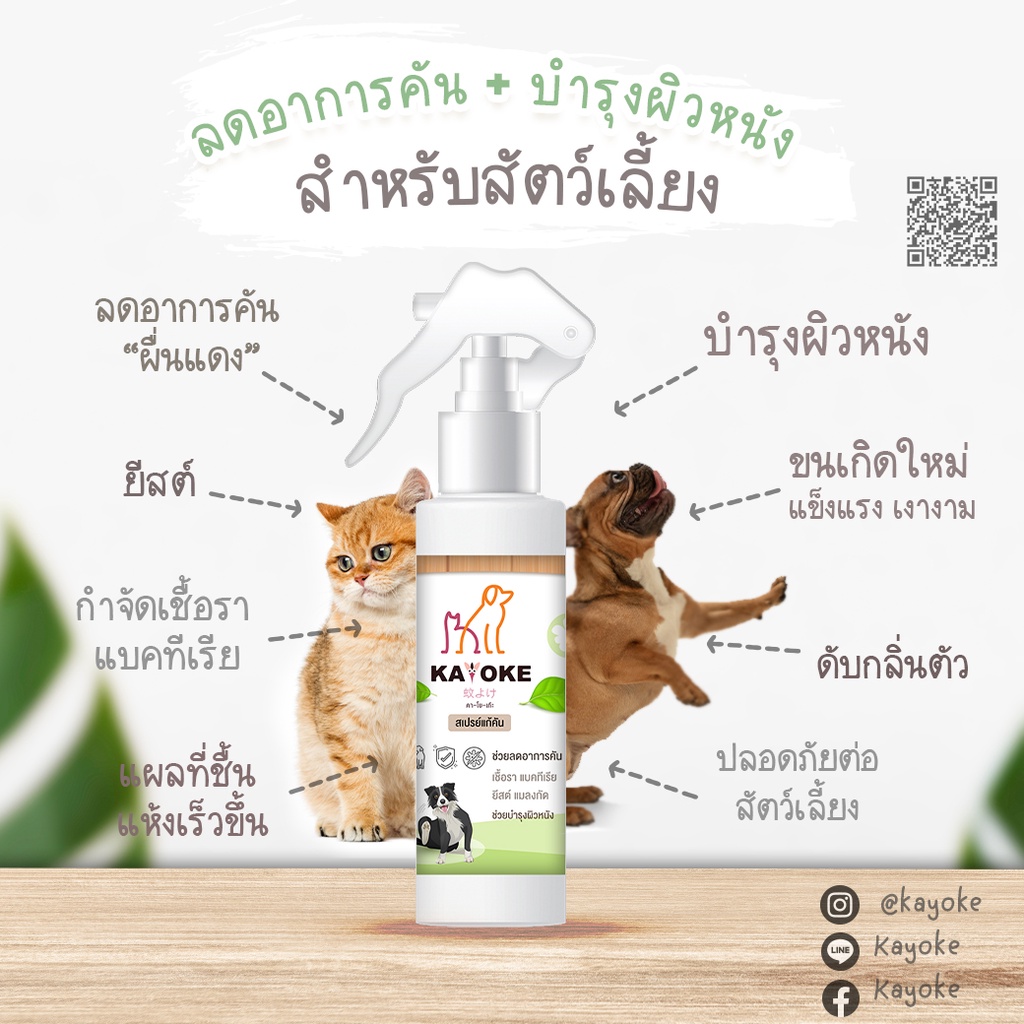 ครบ 1200 มีของแถม 🎉 🐶Kayoke Spray🐱 สเปน์สูตรอ่อนโยนสำหรับสัตว์เลี้ยง - รูปที่ 3