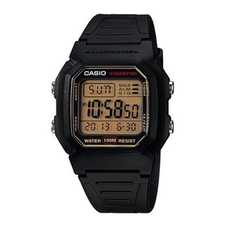 CASIO นาฬิกาข้อมือผู้ชาย Standard รุ่น W-800HG-9AVDF