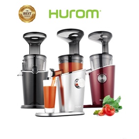 Hurom Fruit &amp; Vegetable Juice Extractor H100